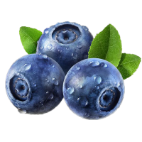 家庭装[熊猫鸟]云南蓝莓 1000g 单果18mm+ 新鲜水果当季蓝梅鲜果现摘高山怡颗孕妇可食