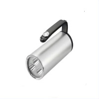 鼎鑫实业DXSY-065 LED手持工作灯 (计价单位:盏) 银色