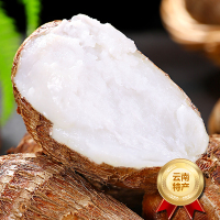 [西沛生鲜]云南牛奶小芋头 净重9斤 单果30-60g