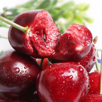 顺丰快递[熊猫鸟]大连美早大樱桃 车厘子 JJ级 净重2.8斤