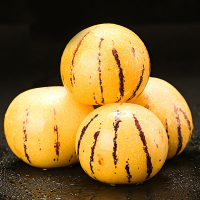 [熊猫鸟]云南特产石林人参果 净重9斤 中果 单果50-80g 熟果 香甜可口 新鲜应季水果