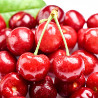 顺丰快递[西沛生鲜]大连美早大樱桃 车厘子 JJJ级 净重1.8斤