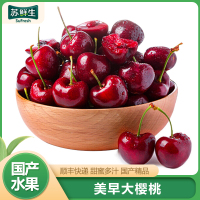 顺丰快递[苏鲜生]美早大樱桃 JJJJ级 净重1.8斤