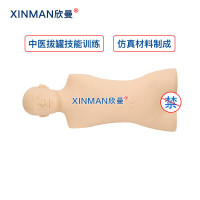 欣曼科教 中医拔罐训练模型 拔罐练习模拟人 中医教学人体模型