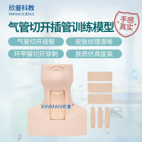 欣曼科教 高级环甲膜穿刺及气管切开插管训练模型 环甲膜穿刺气管切开模型 XM-00075