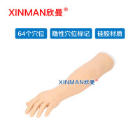 欣曼科教 针灸手臂训练模型 针灸针刺训练手臂模型XM-ZC03