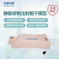 欣曼科教 中心静脉穿刺注射躯干模型 中心静脉置管术操作训练模型XM-LZC01