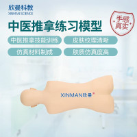 欣曼科教 中医推拿练习模型 推拿训练模拟人 中医教学人体模型XM-ZYTN