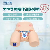 欣曼科教 高级男性导尿操作训练模型 导尿练习模拟人XM-H10
