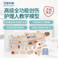 欣曼科教(XINMAN SCIENCE)高级全功能创伤护理人模型 创伤止血包扎操作训练模拟人XM-00132