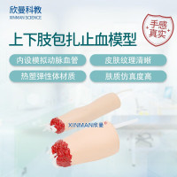 欣曼科教 上下肢外伤断肢包扎止血模型 控制出血手臂与大腿模型XM-H708