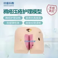 欣曼科教 高级褥疮压疮护理模型 压疮病情演变仿真模型XM-H90