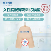 欣曼科教 女性膀胱穿刺操作训练模型 女性导尿模型XM-29N