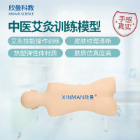 欣曼科教 中医艾灸训练模型 艾灸练习模拟人XM-ZYAJ