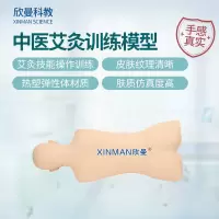 欣曼科教 中医艾灸训练模型 艾灸练习模拟人XM-ZYAJ