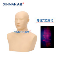 欣曼科教 针灸头部训练模型 头部针灸针刺扎针练习模型XM-ZC01
