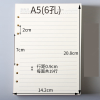 银杉公子 活页纸笔记本替芯A5六孔