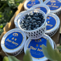 礼盒装[苏鲜生]云南新鲜蓝莓 小蓝杯 8杯 60g/杯 单果15mm+