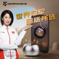 sayrelances塞尔兰斯蓝牙音箱低音炮DZ-017