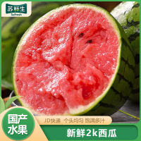 [苏鲜生]新鲜2k西瓜 5-5.5斤 2个