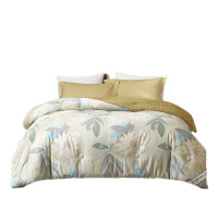 天琴双人被200*230cm柔软舒适贴身亲肤甄品彩柔BTQ-B103