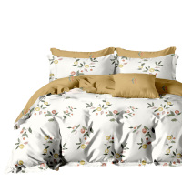 天琴床品四件套230*250柔软舒适秋韵时韵贵妃绒TQ-T158