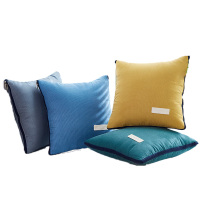 天琴抱枕被100*150cm柔软舒适生态羊绒TQ-J51(颜色随机)