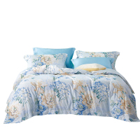 富安娜 床单四件套 清袖幽兰 203*229cm