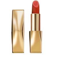 雅诗兰黛 绝色 由我丝绒唇膏#333(金管)