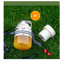 思嘉思达轻奢榨汁机 SKD -Z0173