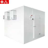 埃利斯(AILISI)冷库制冷全套设备大小型冰柜 大型高低温冷藏冷冻库制冷机组彩钢板60立方冷藏库