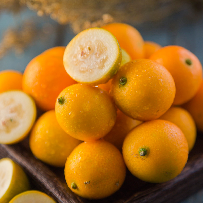 苏宁生鲜广西桂林金桔1kg新鲜水果