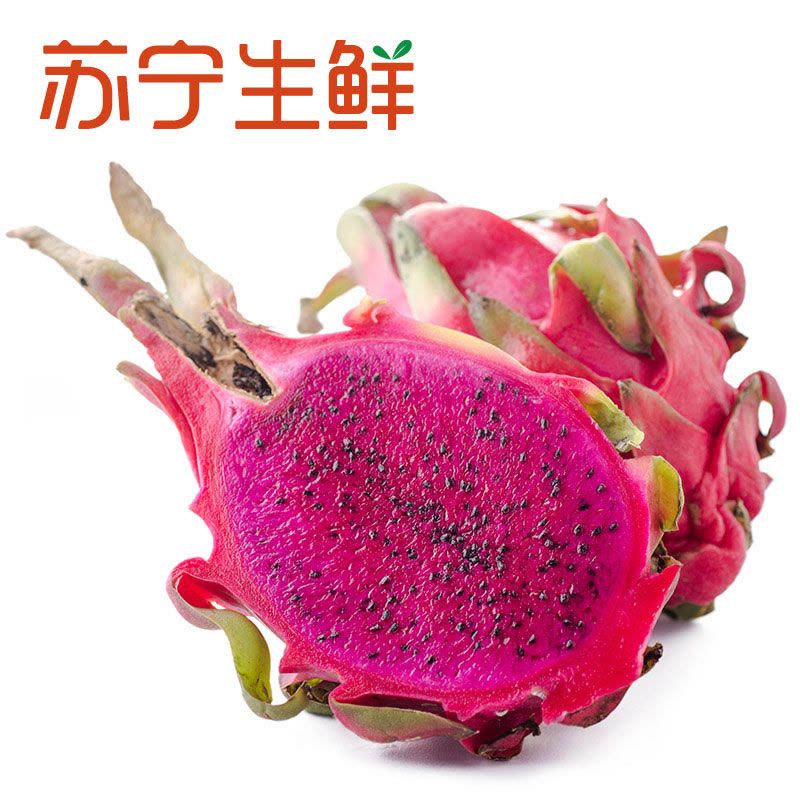 废除--【苏宁生鲜】 越南红心火龙果2.5kg(大果)约450g/个新鲜水果图片