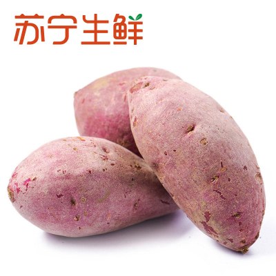 [苏宁生鲜]山东紫薯500g