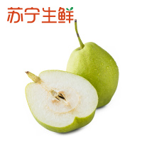 [苏宁生鲜]新疆库尔勒精选香梨1kg约120g/个