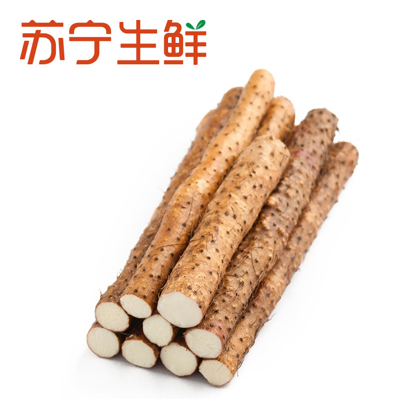 【苏宁生鲜】温县铁棍山药400g