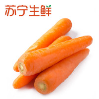 [苏宁生鲜]精选胡萝卜 600g