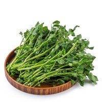 【苏宁生鲜】精选西洋菜300g 蔬菜