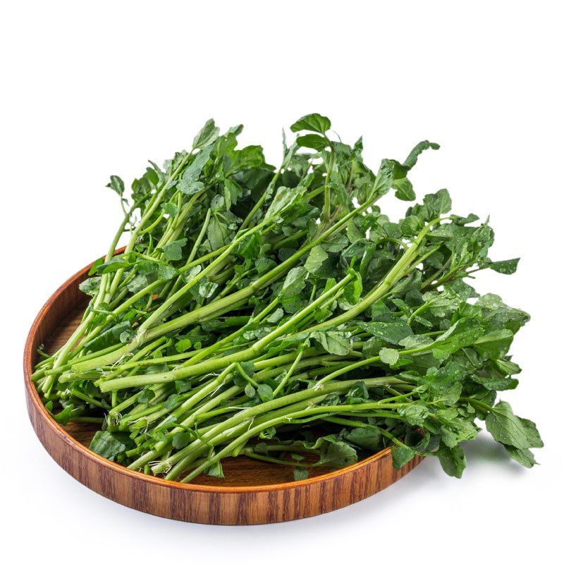 易果生鲜 【苏宁生鲜】精选西洋菜300g 蔬菜【价格 图片 品牌 报价】-