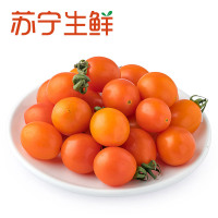 【苏宁生鲜】精选金珠樱桃番茄450g 西红柿 蔬菜