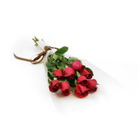 【苏宁生鲜】红玫瑰9枝 蔬菜