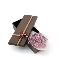 【苏宁生鲜】进口彩色满天星礼盒(1扎) 蔬菜