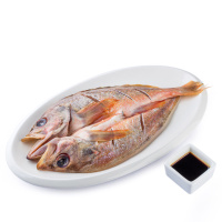 【苏宁生鲜】阿拉斯加红石斑（500-600g）海鲜水产