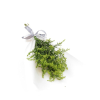 【苏宁生鲜】黄莺3枝 蔬菜