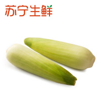 【苏宁生鲜】精选糯玉米600g 蔬菜