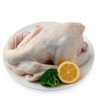 【苏宁生鲜】圣华冷鲜草老母鸡1.1kg 安心禽蛋