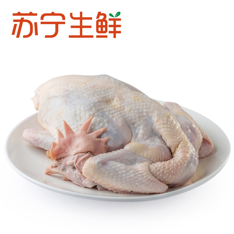 【苏宁生鲜】湘佳冰鲜老母鸡1.2kg 安心禽肉