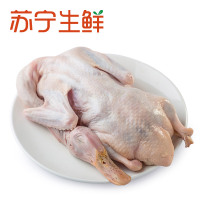 【苏宁生鲜】湘佳冰鲜老鸭850g 鸭子 安心禽肉