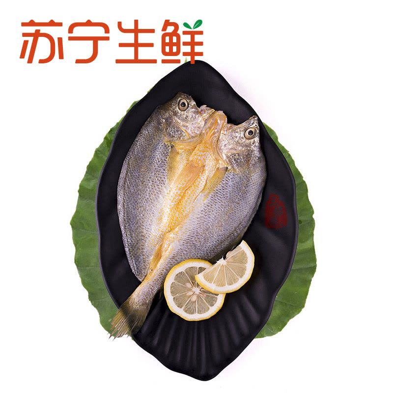 【苏宁生鲜】 三都港香煎黄鱼鲞175g海鲜水产图片