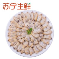 [苏宁生鲜]獐子岛蚬子肉(速冻熟制)250g